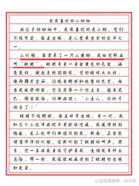 我喜欢的小动物作文怎么写_小学生写小动物作文技巧-第2张图片-星辰妙记 我喜欢的小动物作文怎么写_小学生写小动物作文技巧-第2张图片-星辰妙记