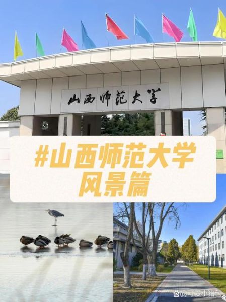 山西师范大学在哪里_山西师范大学具体地址-第1张图片-星辰妙记 山西师范大学在哪里_山西师范大学具体地址-第1张图片-星辰妙记