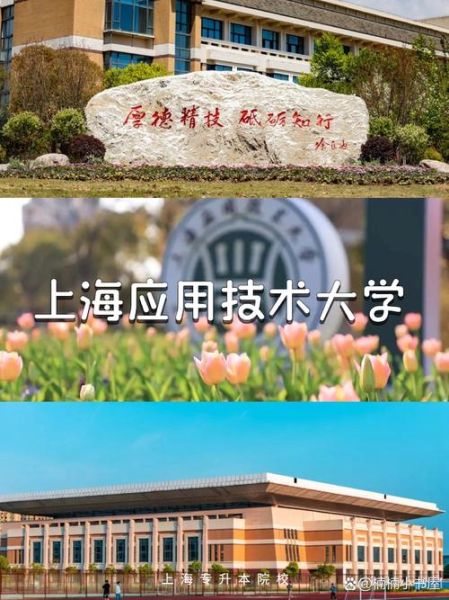 上海应用技术大学怎么样_上海应用技术大学专业排名-第3张图片-星辰妙记 上海应用技术大学怎么样_上海应用技术大学专业排名-第3张图片-星辰妙记