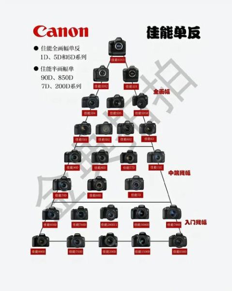 全画幅镜头怎么选_全画幅镜头和半画幅区别-第1张图片-星辰妙记 全画幅镜头怎么选_全画幅镜头和半画幅区别-第1张图片-星辰妙记