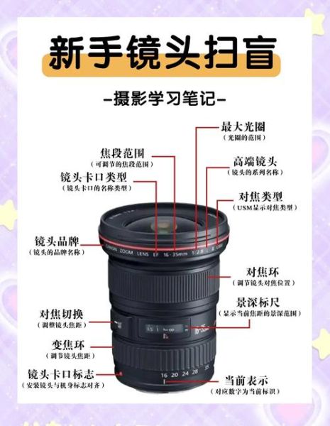 镜头与构图怎么拍_镜头与构图的区别-第1张图片-星辰妙记 镜头与构图怎么拍_镜头与构图的区别-第1张图片-星辰妙记