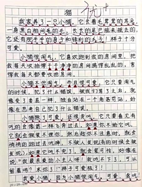 我家的猫作文怎么写_写猫作文的万能开头-第1张图片-星辰妙记 我家的猫作文怎么写_写猫作文的万能开头-第1张图片-星辰妙记