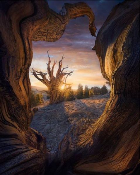 镜头冲击是什么_如何拍出震撼画面-第3张图片-星辰妙记 镜头冲击是什么_如何拍出震撼画面-第3张图片-星辰妙记