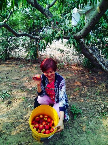 摘油桃作文怎么写_油桃采摘作文开头技巧-第3张图片-星辰妙记 摘油桃作文怎么写_油桃采摘作文开头技巧-第3张图片-星辰妙记