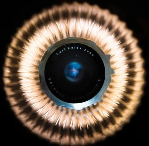 蔡司镜头怎么样_蔡司镜头适合拍什么-第2张图片-星辰妙记