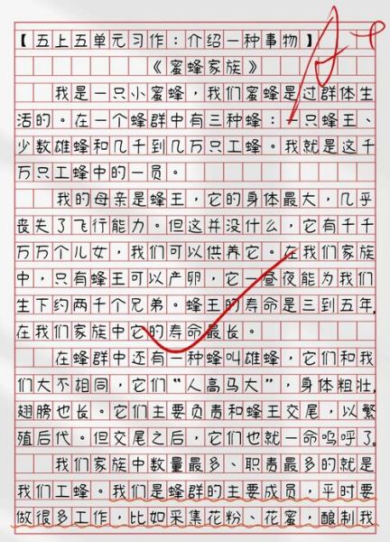 五年级上册第五单元作文怎么写_如何写介绍一种事物-第2张图片-星辰妙记 五年级上册第五单元作文怎么写_如何写介绍一种事物-第2张图片-星辰妙记