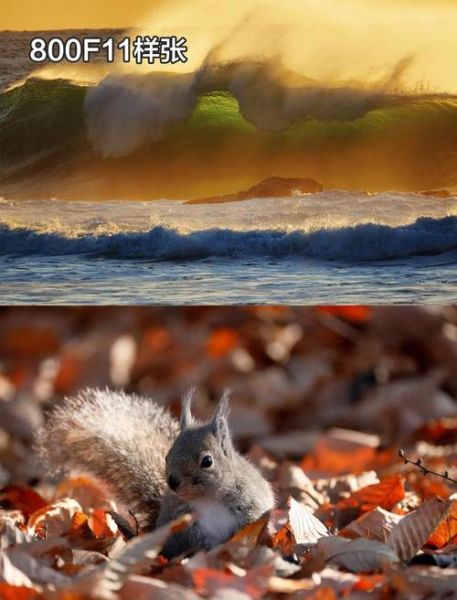 佳能长焦镜头推荐_如何选远摄镜头-第3张图片-星辰妙记 佳能长焦镜头推荐_如何选远摄镜头-第3张图片-星辰妙记