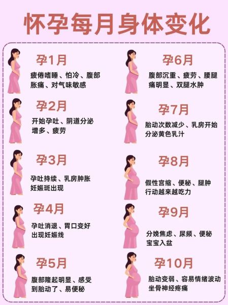 十月孕妇的肚子有多大_怀孕十个月肚子变化图-第1张图片-星辰妙记