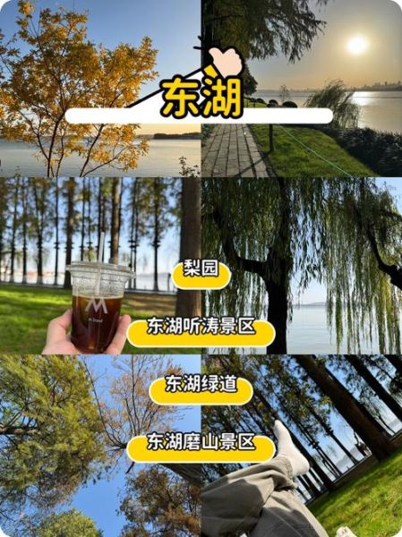 浙江农林大学东湖论坛怎么注册_东湖论坛有哪些热门版块-第2张图片-星辰妙记 浙江农林大学东湖论坛怎么注册_东湖论坛有哪些热门版块-第2张图片-星辰妙记