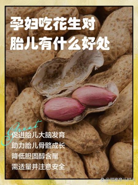 孕妇能吃生花生吗_生花生对孕妇的好处与风险-第2张图片-星辰妙记 孕妇能吃生花生吗_生花生对孕妇的好处与风险-第2张图片-星辰妙记