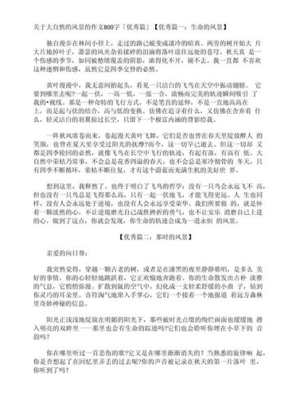 如何描写风景_800字作文怎么写-第3张图片-星辰妙记 如何描写风景_800字作文怎么写-第3张图片-星辰妙记