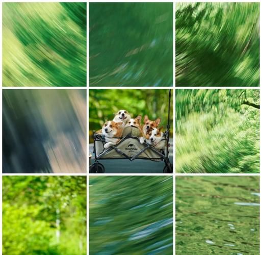 镜头跑焦怎么调_相机对焦不准解决方法-第3张图片-星辰妙记