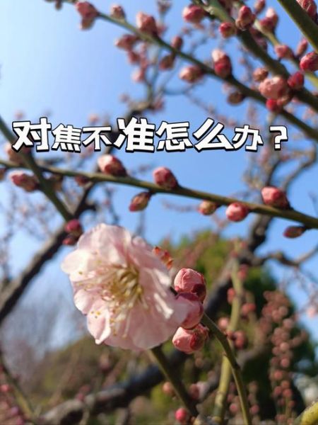 镜头跑焦怎么调_相机对焦不准解决方法-第2张图片-星辰妙记