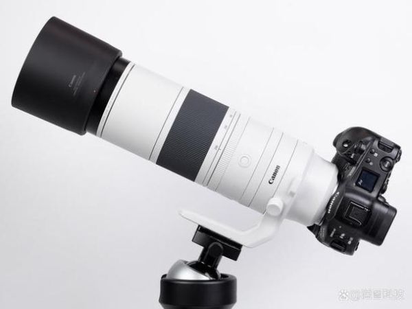 佳能800mm镜头值得买吗_实拍体验如何-第2张图片-星辰妙记 佳能800mm镜头值得买吗_实拍体验如何-第2张图片-星辰妙记