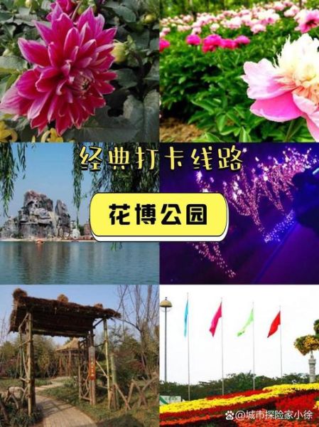 蚌埠花博园门票多少钱_蚌埠花博园好玩吗-第1张图片-星辰妙记 蚌埠花博园门票多少钱_蚌埠花博园好玩吗-第1张图片-星辰妙记