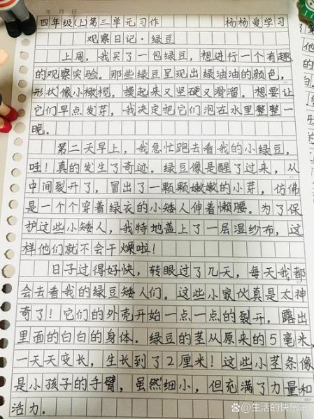 四年级上册二单元作文怎么写_如何写观察日记-第1张图片-星辰妙记