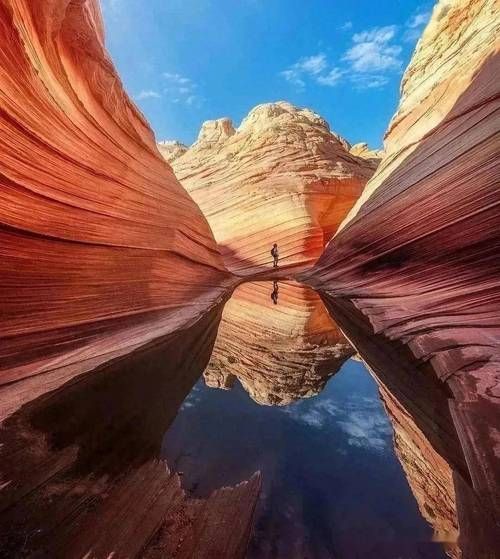 什么是广角镜头_广角镜头适合拍什么-第3张图片-星辰妙记