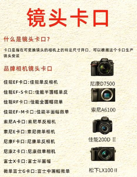 单反镜头怎么拆_镜头卡口锁在哪-第1张图片-星辰妙记