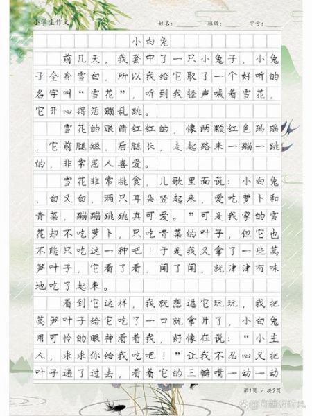 小白兔作文怎么写_二年级小白兔作文素材-第1张图片-星辰妙记