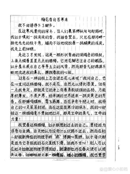 梅花象征什么品格_托物言志作文怎么写-第2张图片-星辰妙记