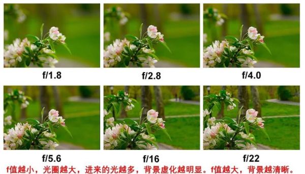 单反镜头光圈是什么_如何根据光线选镜头-第1张图片-星辰妙记