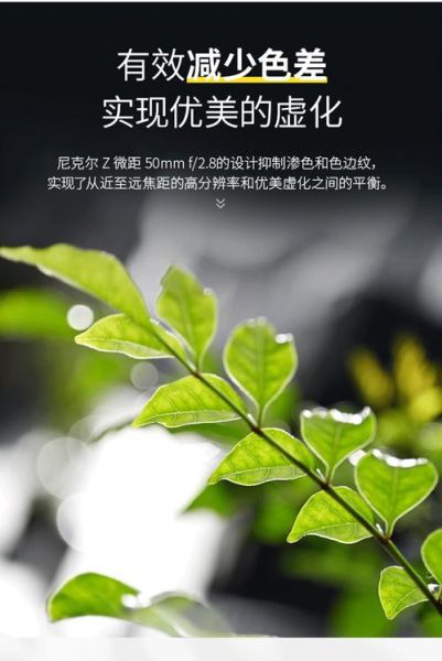 尼克尔微距镜头哪款好_如何拍微距-第1张图片-星辰妙记