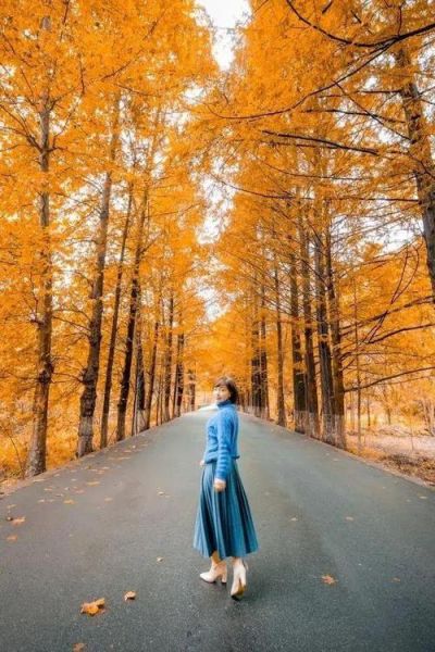 拍人像用什么镜头_拍风景用什么镜头-第3张图片-星辰妙记 拍人像用什么镜头_拍风景用什么镜头-第3张图片-星辰妙记