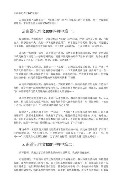 云南旅游攻略_云南之旅作文怎么写-第2张图片-星辰妙记