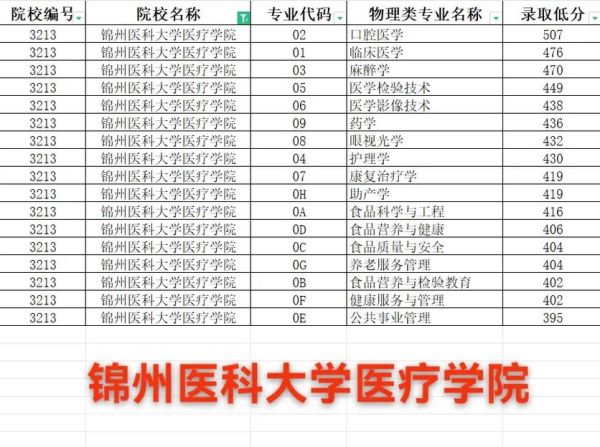 锦州医科大学怎么样_锦州医科大学录取分数线-第2张图片-星辰妙记