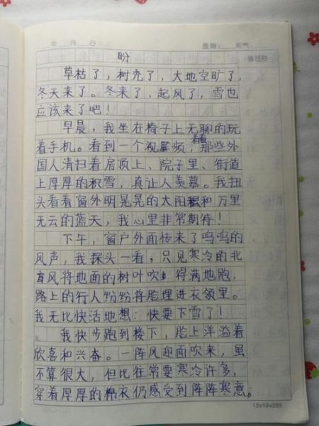 六年级上册第五单元作文怎么写_500字作文写作技巧-第1张图片-星辰妙记