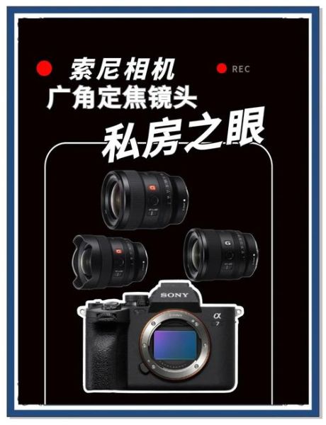 sony e口镜头怎么选_索尼微单镜头推荐-第2张图片-星辰妙记