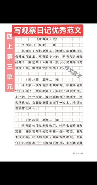 四年级上册第三单元作文怎么写_观察日记写什么-第3张图片-星辰妙记
