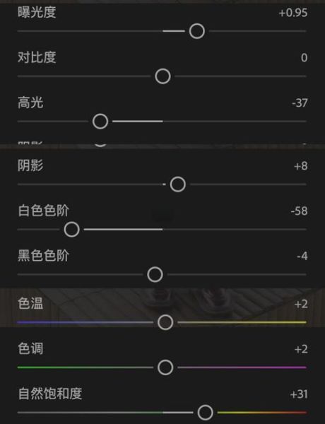lr镜头矫正怎么操作_lr镜头矫正常见问题-第3张图片-星辰妙记