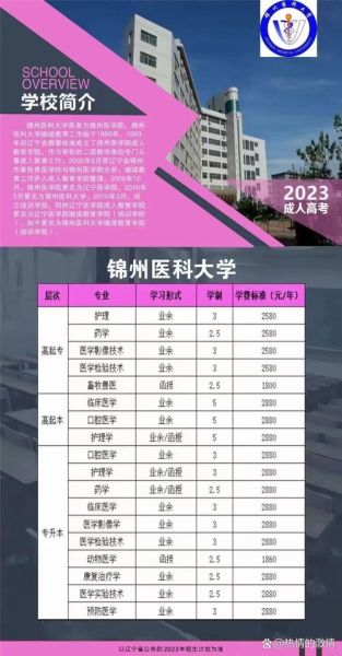 辽宁锦州医科大学怎么样_录取分数线是多少-第1张图片-星辰妙记 辽宁锦州医科大学怎么样_录取分数线是多少-第1张图片-星辰妙记