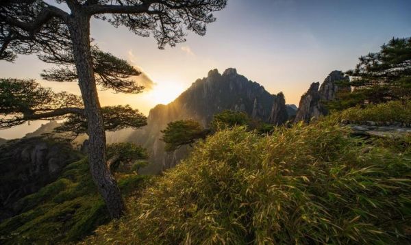 广角镜头怎么用_广角镜头适合拍什么场景-第2张图片-星辰妙记