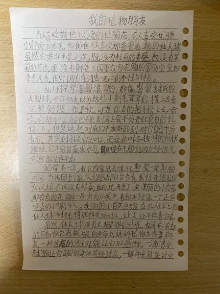 三年级作文怎么写_三年级作文写多长-第3张图片-星辰妙记