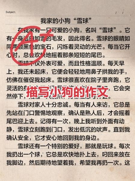 可爱的小狗作文怎么写_如何描写小狗的可爱之处-第1张图片-星辰妙记