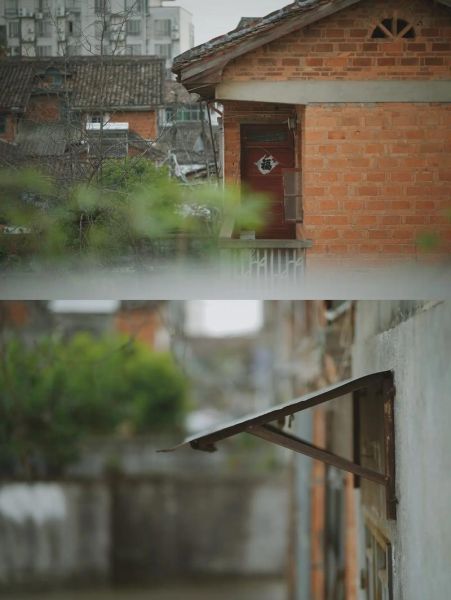 如何拍摄人文纪实_人文摄影技巧-第3张图片-星辰妙记