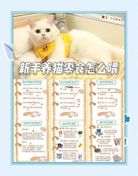 小猫咪怎么养_小猫咪爱吃什么-第3张图片-星辰妙记 小猫咪怎么养_小猫咪爱吃什么-第3张图片-星辰妙记