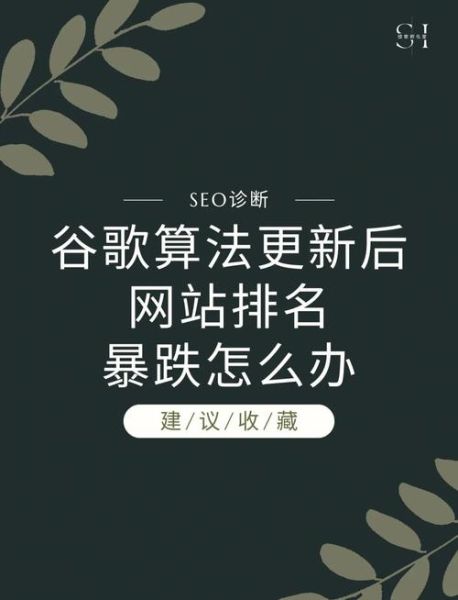 为什么网站收录突然下降_如何快速恢复排名-第2张图片-星辰妙记