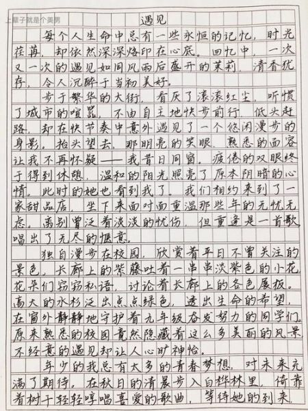 遇见作文怎么写_遇见作文开头结尾怎么写-第3张图片-星辰妙记