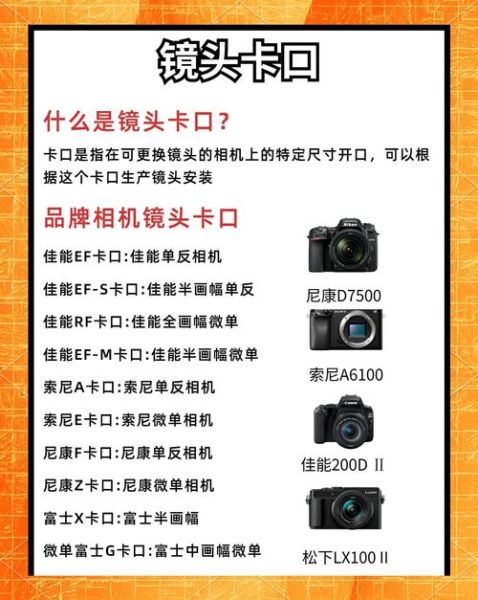 双镜头手机怎么选_双镜头和单镜头区别-第3张图片-星辰妙记 双镜头手机怎么选_双镜头和单镜头区别-第3张图片-星辰妙记