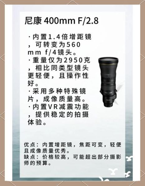 尼康打鸟镜头推荐_打鸟用什么尼康镜头好-第1张图片-星辰妙记 尼康打鸟镜头推荐_打鸟用什么尼康镜头好-第1张图片-星辰妙记