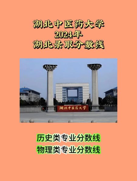 湖北中医药大学招生简章_湖北中医药大学录取分数线-第3张图片-星辰妙记 湖北中医药大学招生简章_湖北中医药大学录取分数线-第3张图片-星辰妙记
