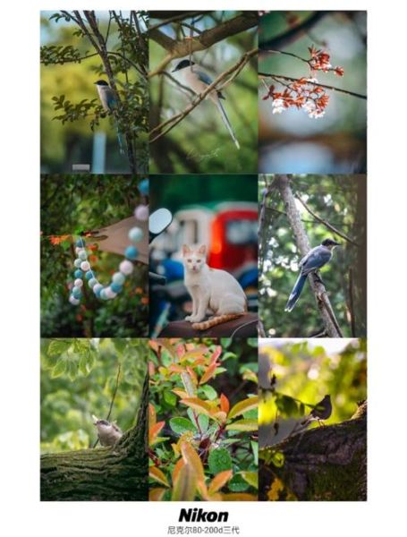 尼康18300三代值得买吗_实拍画质评测-第1张图片-星辰妙记 尼康18300三代值得买吗_实拍画质评测-第1张图片-星辰妙记