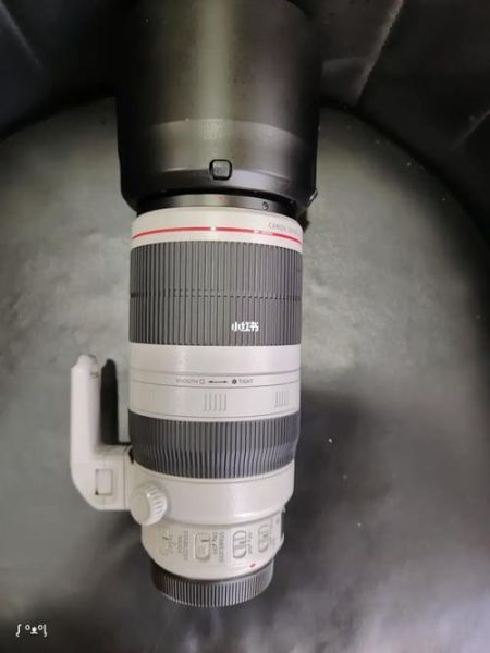 佳能镜头大白怎么样_佳能100-400二代值得买吗-第1张图片-星辰妙记 佳能镜头大白怎么样_佳能100-400二代值得买吗-第1张图片-星辰妙记