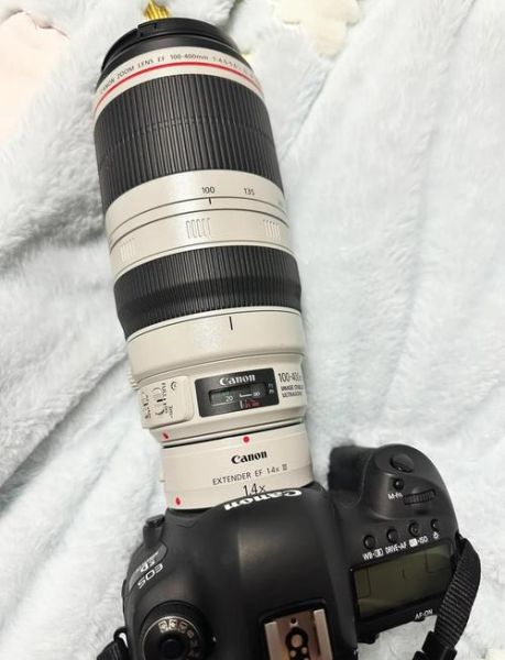 佳能镜头大白怎么样_佳能100-400二代值得买吗-第3张图片-星辰妙记 佳能镜头大白怎么样_佳能100-400二代值得买吗-第3张图片-星辰妙记