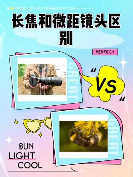 长焦微距镜头怎么选_长焦微距镜头推荐-第1张图片-星辰妙记 长焦微距镜头怎么选_长焦微距镜头推荐-第1张图片-星辰妙记