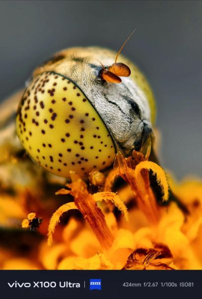 长焦微距镜头怎么选_长焦微距镜头推荐-第3张图片-星辰妙记 长焦微距镜头怎么选_长焦微距镜头推荐-第3张图片-星辰妙记