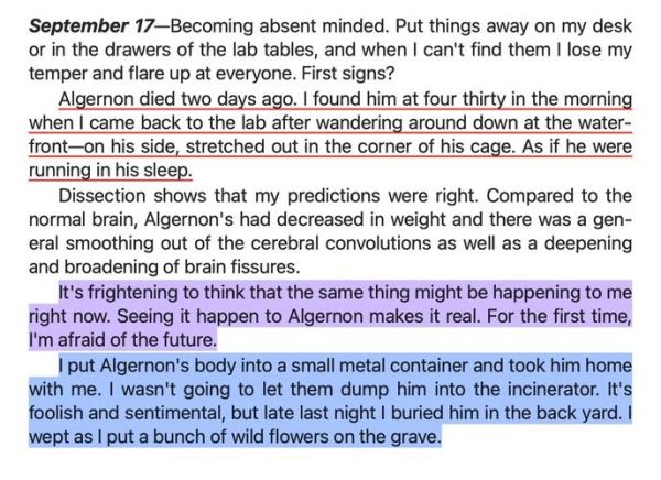 how_to_look_at_camera_in_english_video-第2张图片-星辰妙记 how_to_look_at_camera_in_english_video-第2张图片-星辰妙记